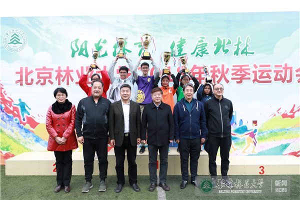 搜球体育官方指定端
