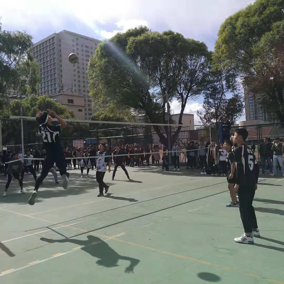 搜球体育备用网址