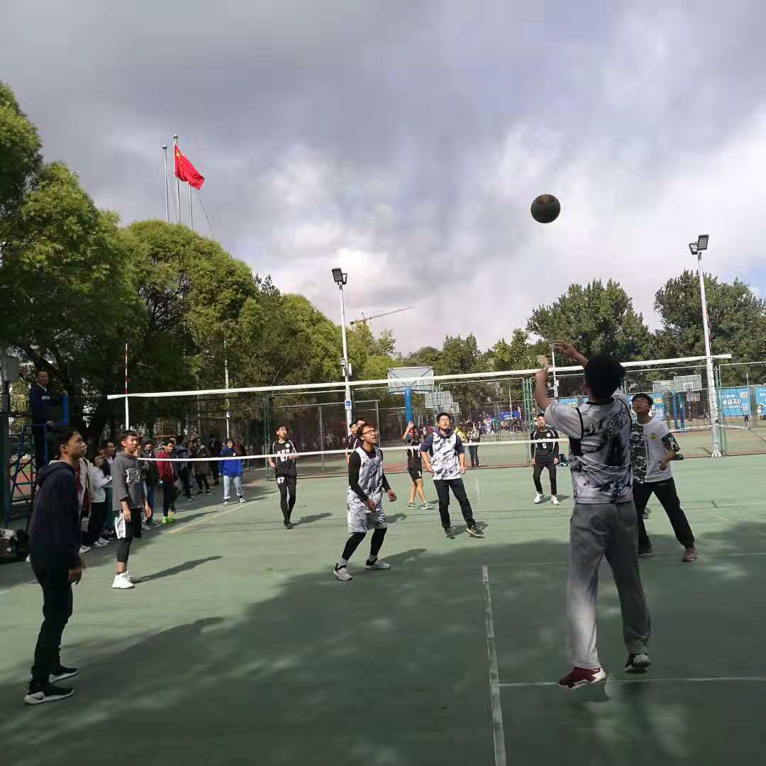 搜球体育稳定线路