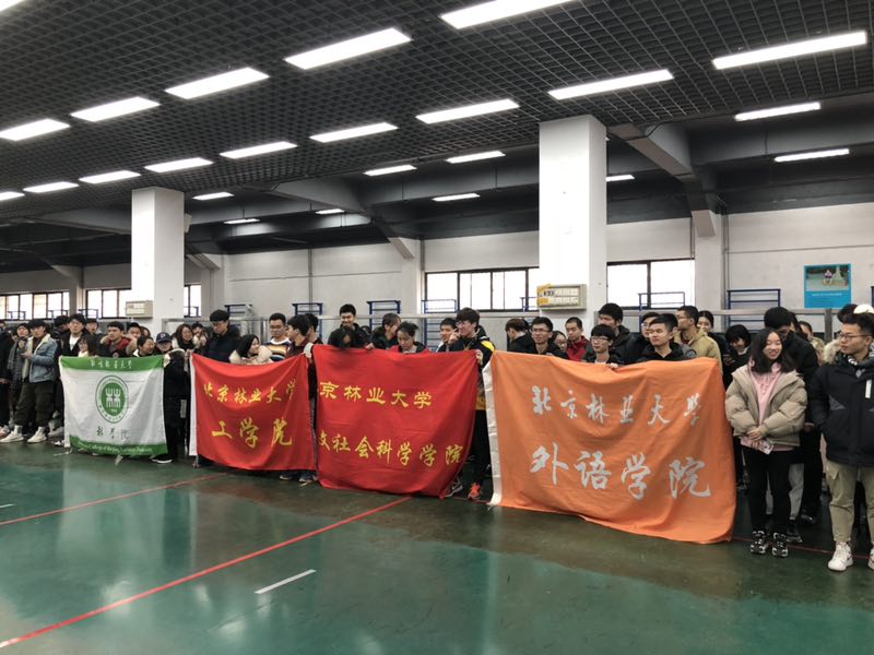 搜球体育平台