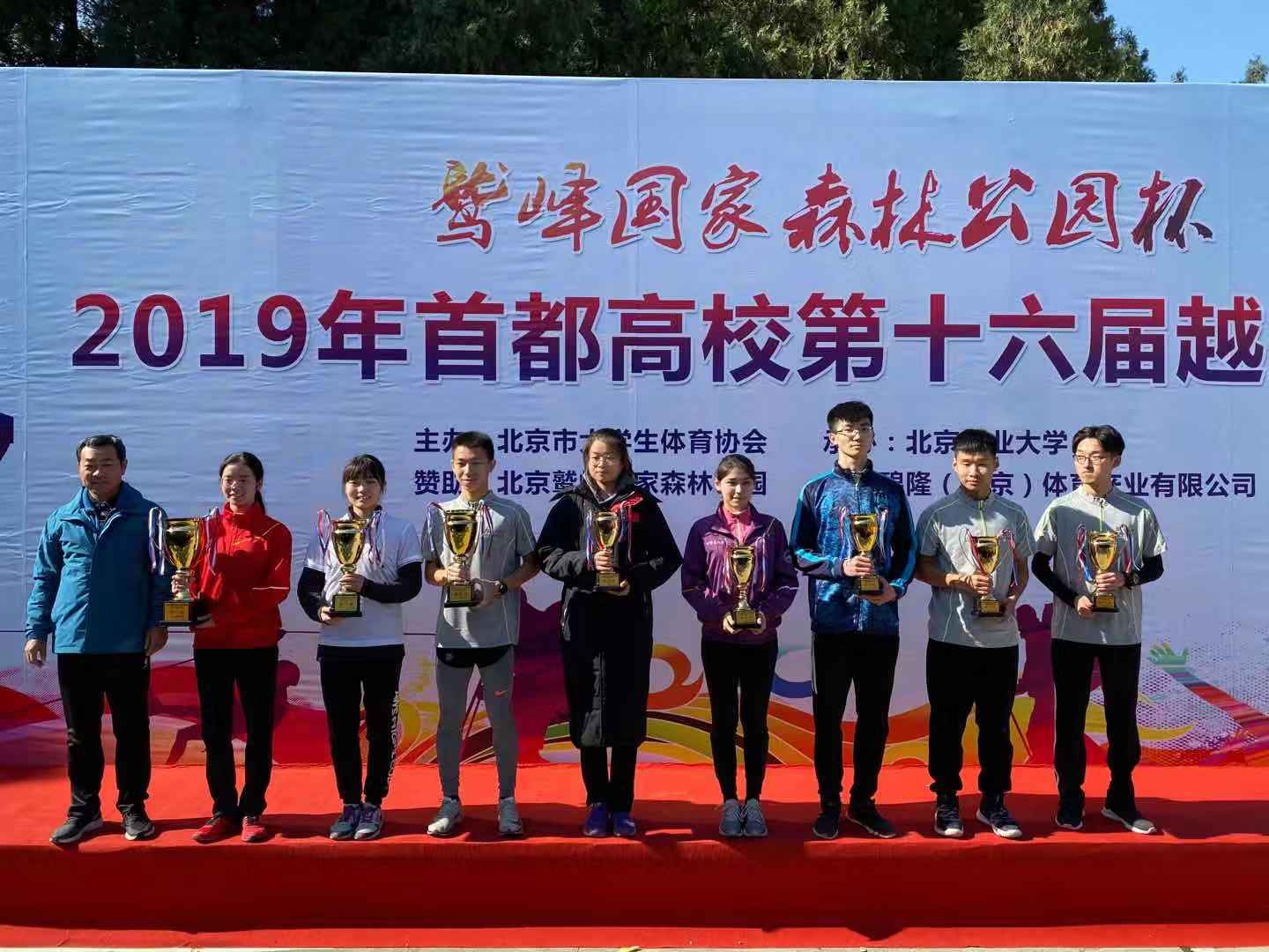 搜球体育平台