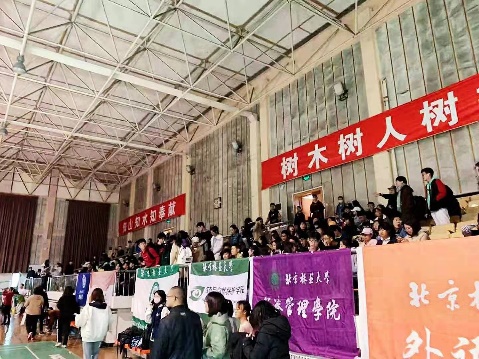 搜球体育官方线路