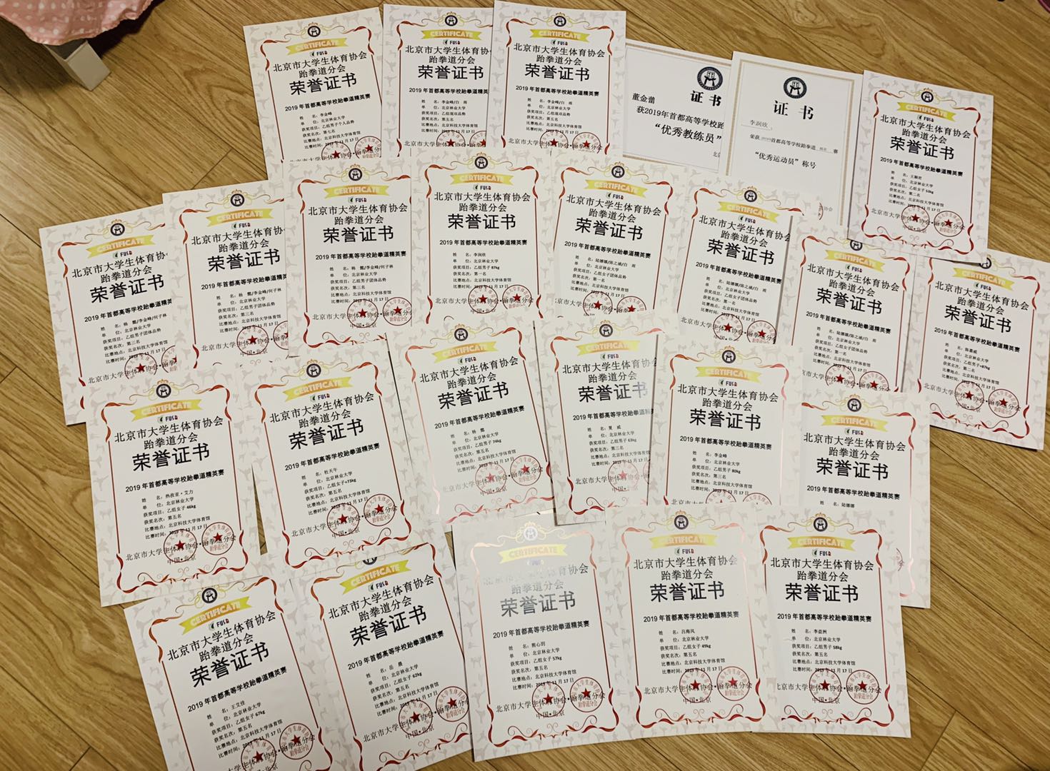 搜球体育官方指定端