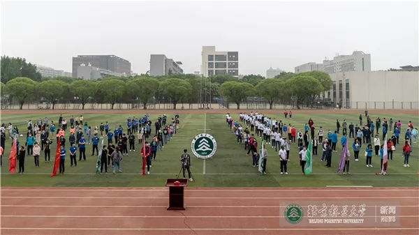 搜球体育备用网址