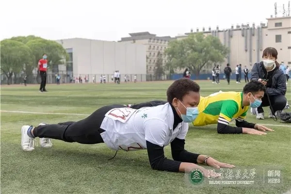 搜球体育欧冠直播