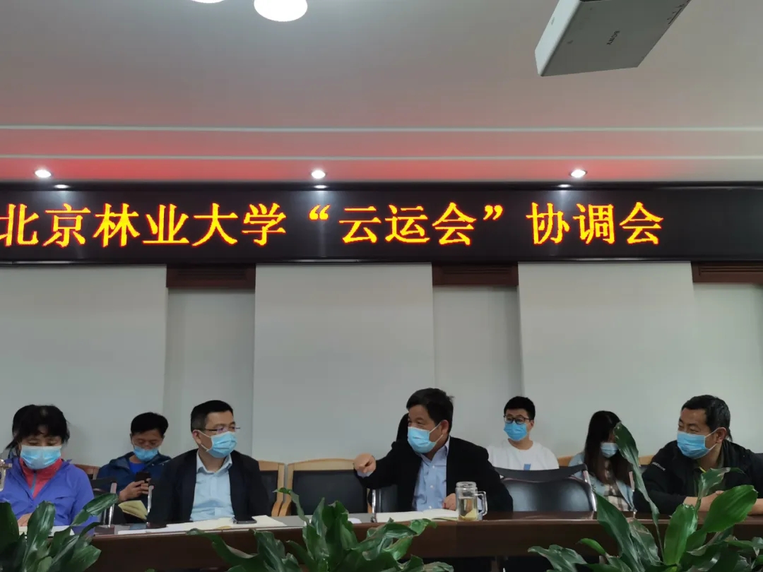 搜球体育手机版