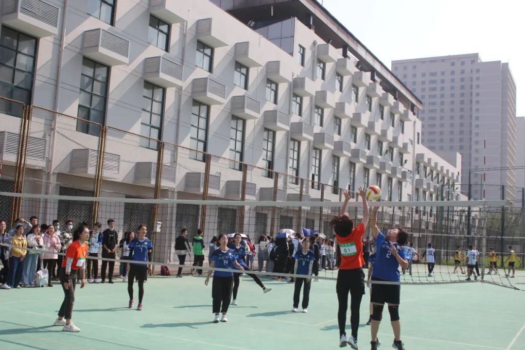 搜球体育稳定线路