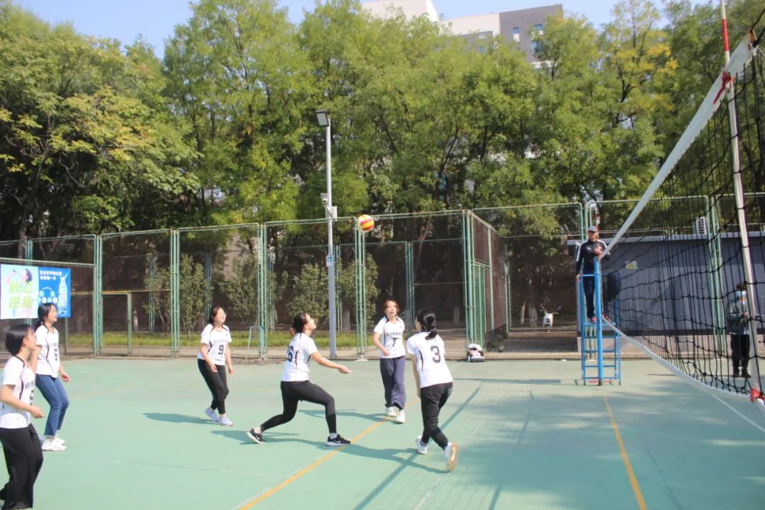 搜球体育体育频道