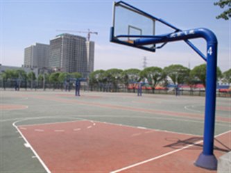搜球体育直播图片